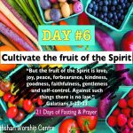 Day #6
